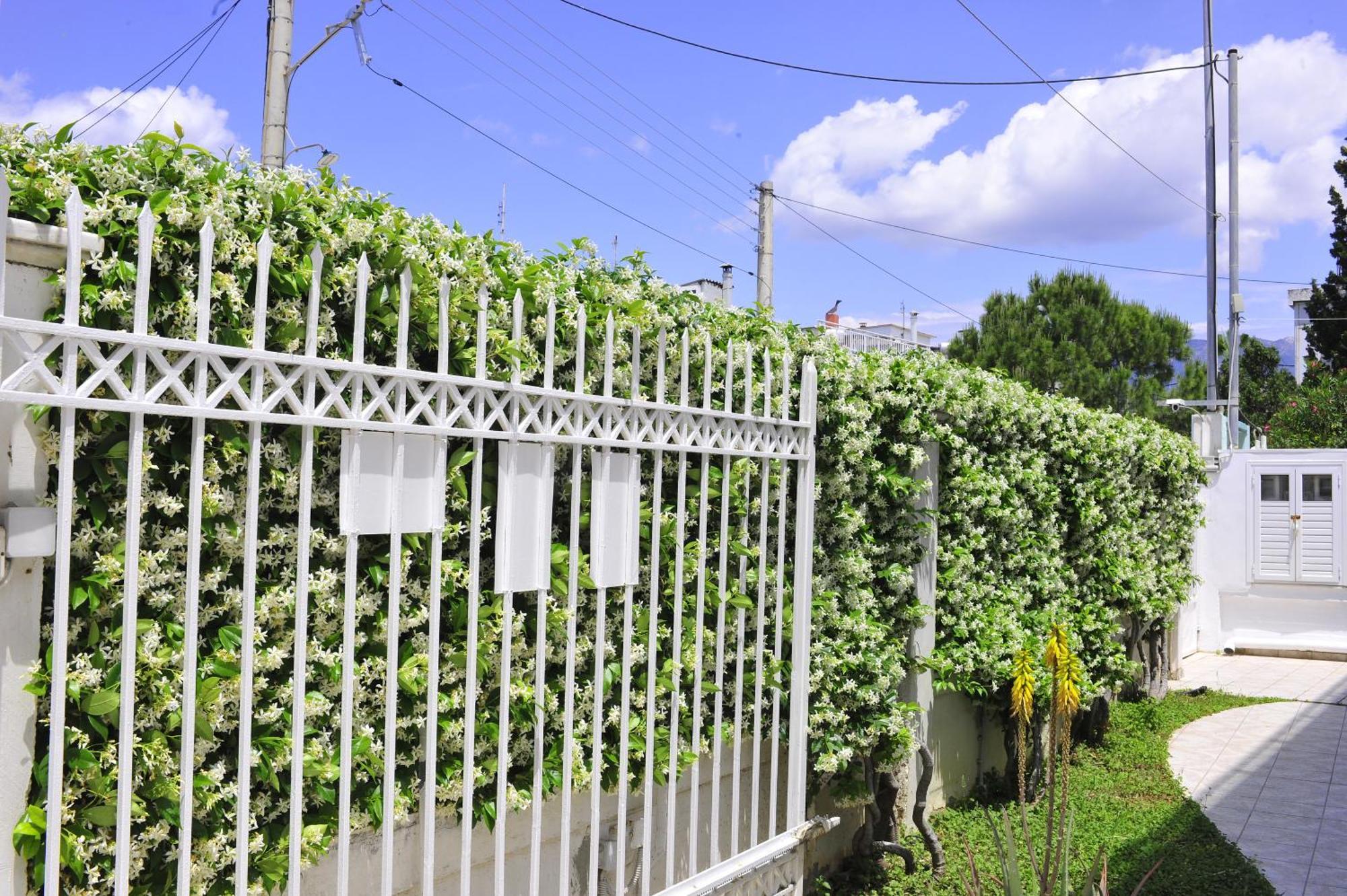 Peloponeese Corinthos Seaside Villa For Short Rent エクステリア 写真